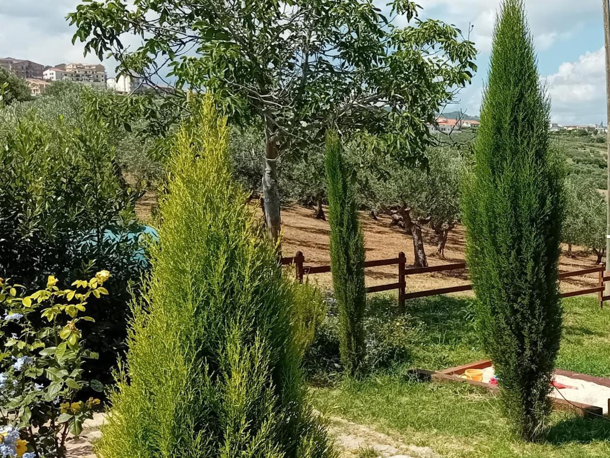 Villa Nonno Nicola Montenero di Bisaccia Zewnętrze zdjęcie